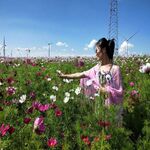 /photo/886322/生活照/psc (3)_1_2_small.jpg